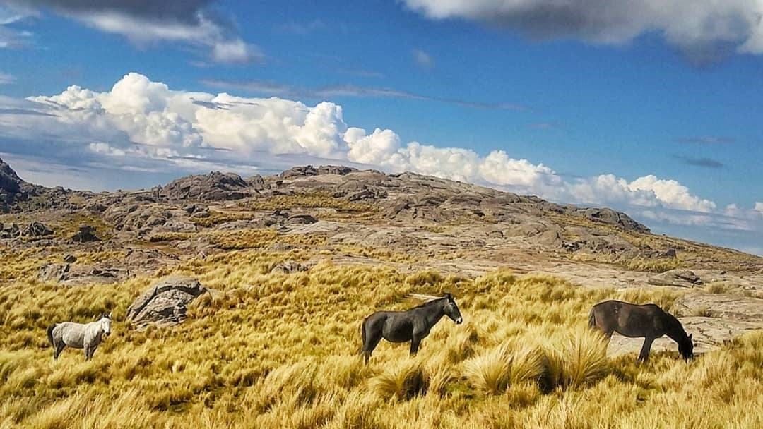 Trekking Até O Passo Garay foto 7