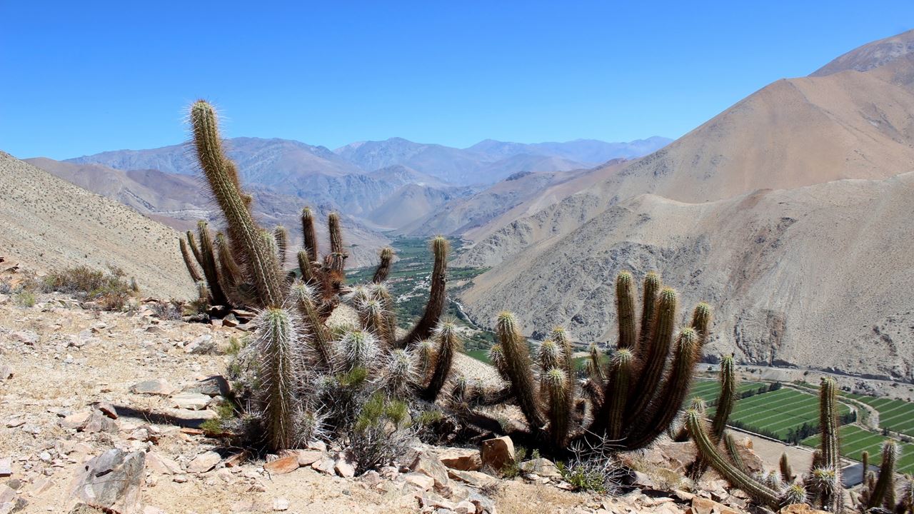 Trekking Pelo Cânion Puritama E Pela Comunidade Guatin (6)