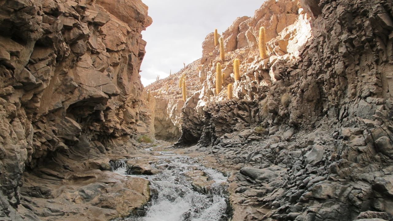 Trekking Pelo Cânion Puritama E Pela Comunidade Guatin (3)