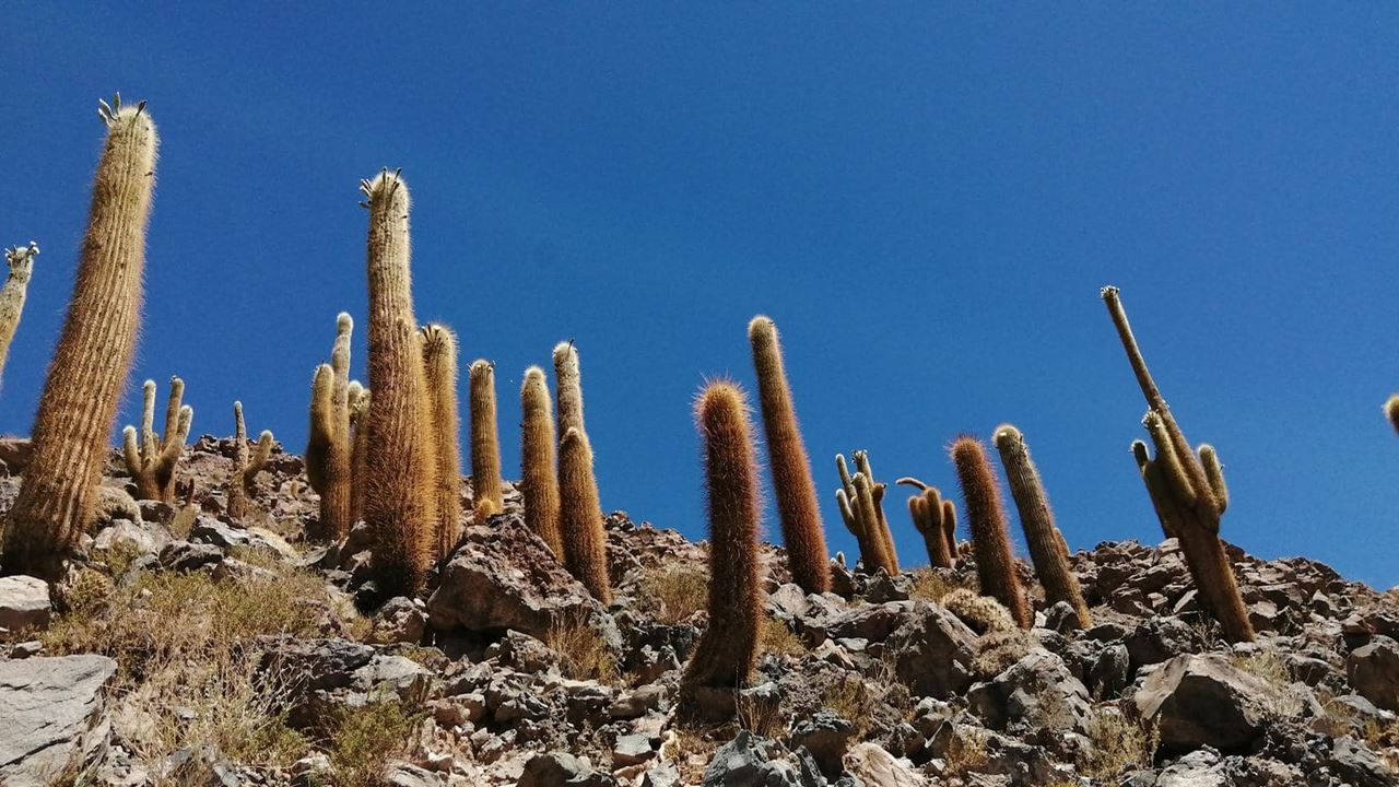 Trekking Pelo Cânion Puritama E Pela Comunidade Guatin (8)