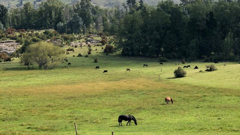 Trekking Crossing To Alpine Village foto 6