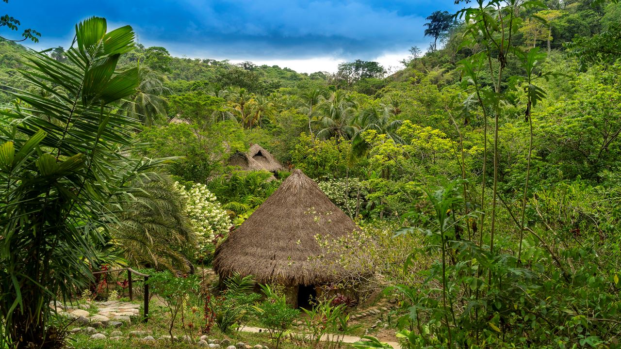 Trekking Don Diego Tayronaka foto 5