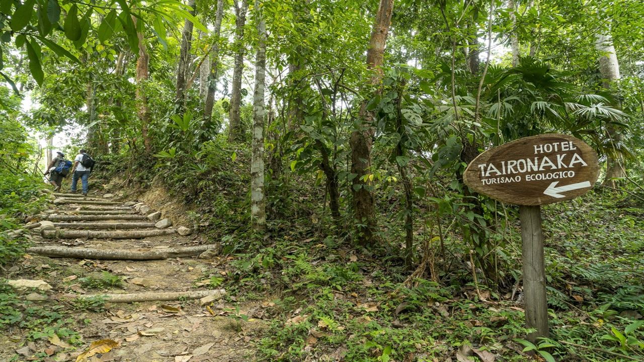 Trekking Don Diego Tayronaka foto 9