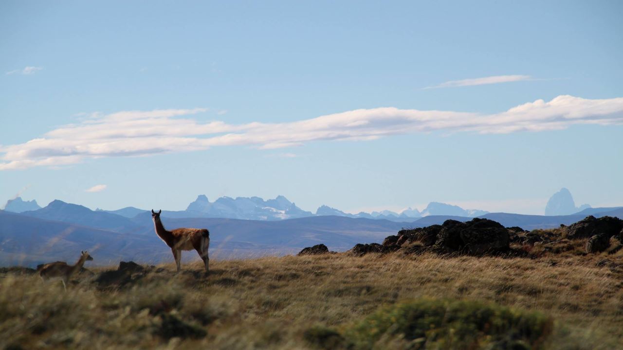 Trekking In The Cerro Frias (2)