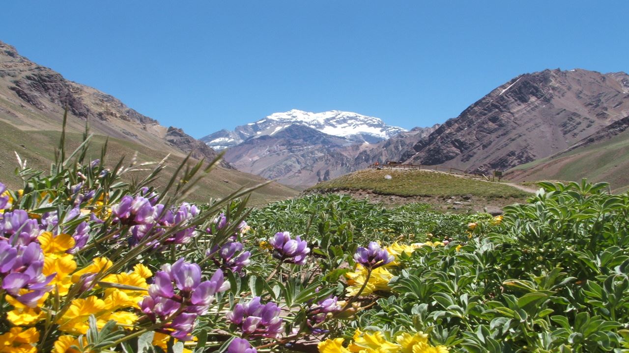 Trekking In Aconcagua Provincial Park (2)