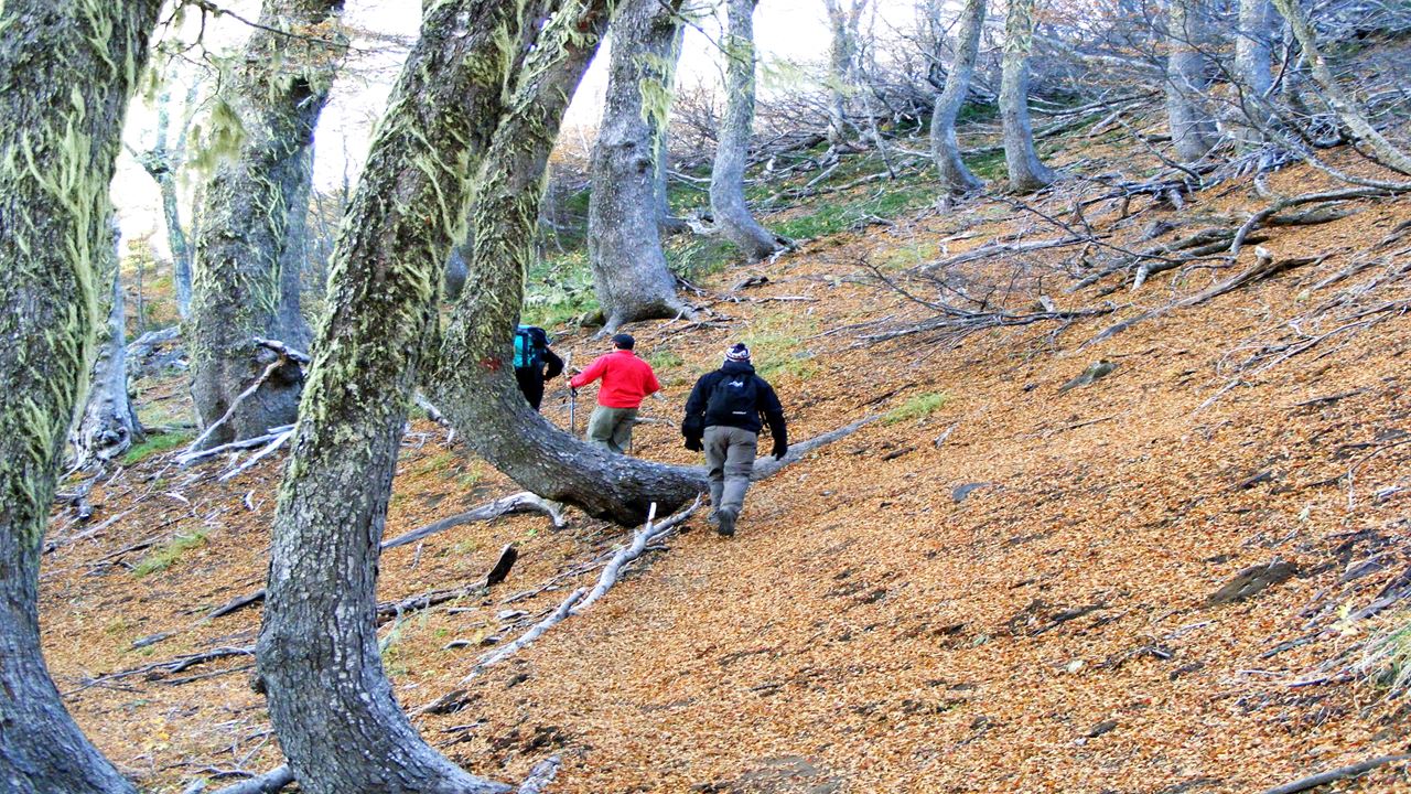 Trekking No Vulcão Colorado foto 3