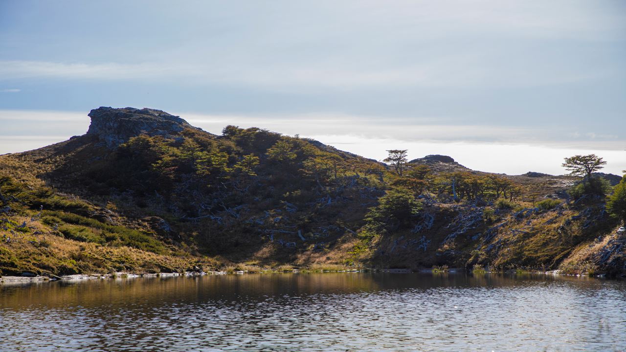 Twin Lagoons Trekking (9)