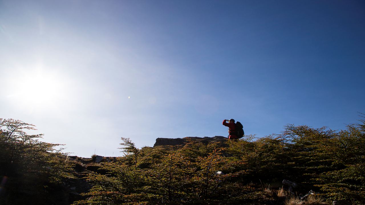 Twin Lagoons Trekking (11)