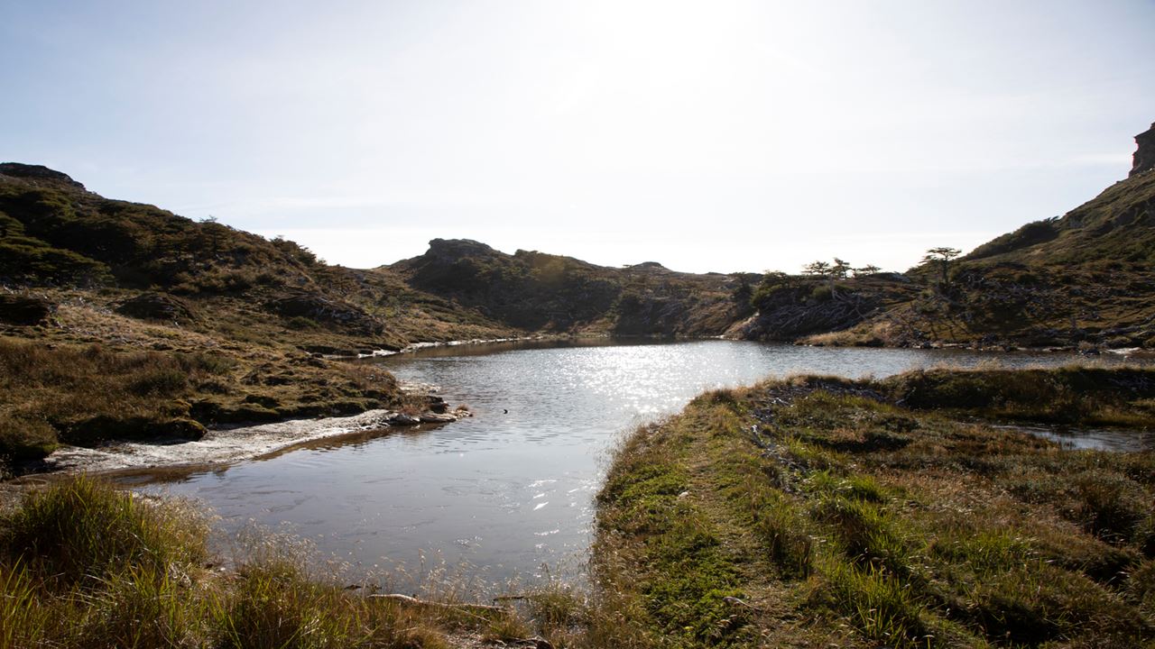 Twin Lagoons Trekking (8)