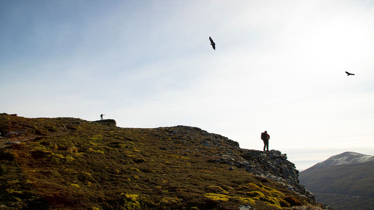 Twin Lagoons Trekking (3)