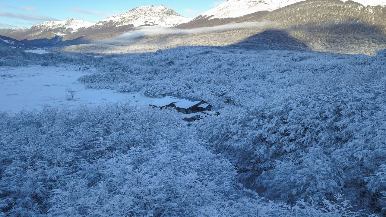 Trekking + Skiing + Sledging (2)
