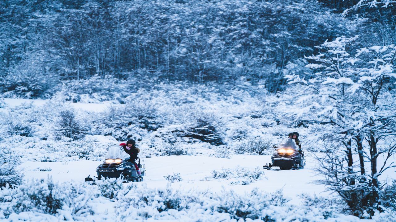 Trekking + Skiing + Sledging (4)