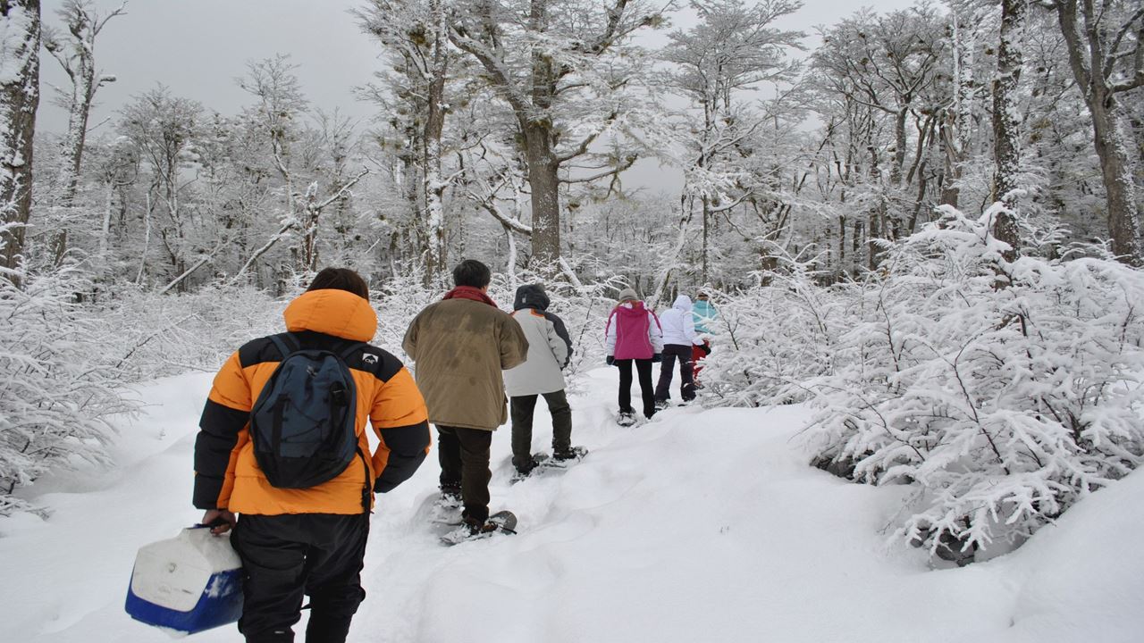 Trekking + Skiing + Sledging (1)