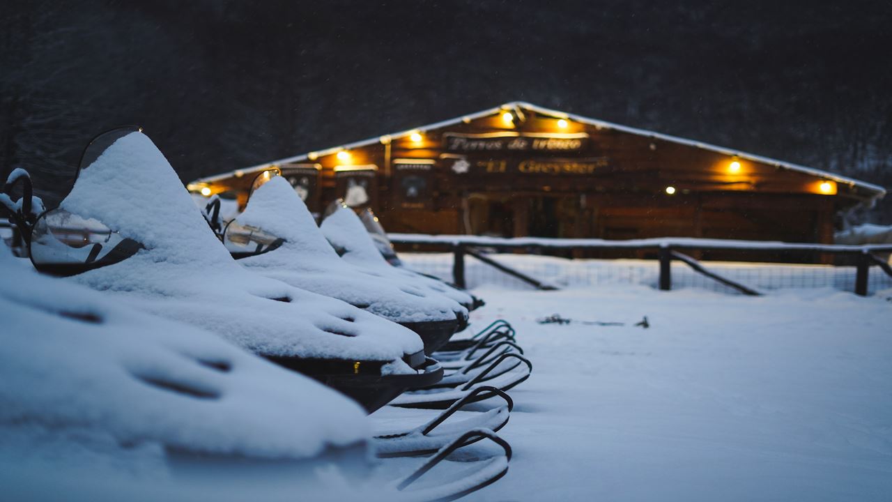 Trekking + Skiing + Sledging (5)