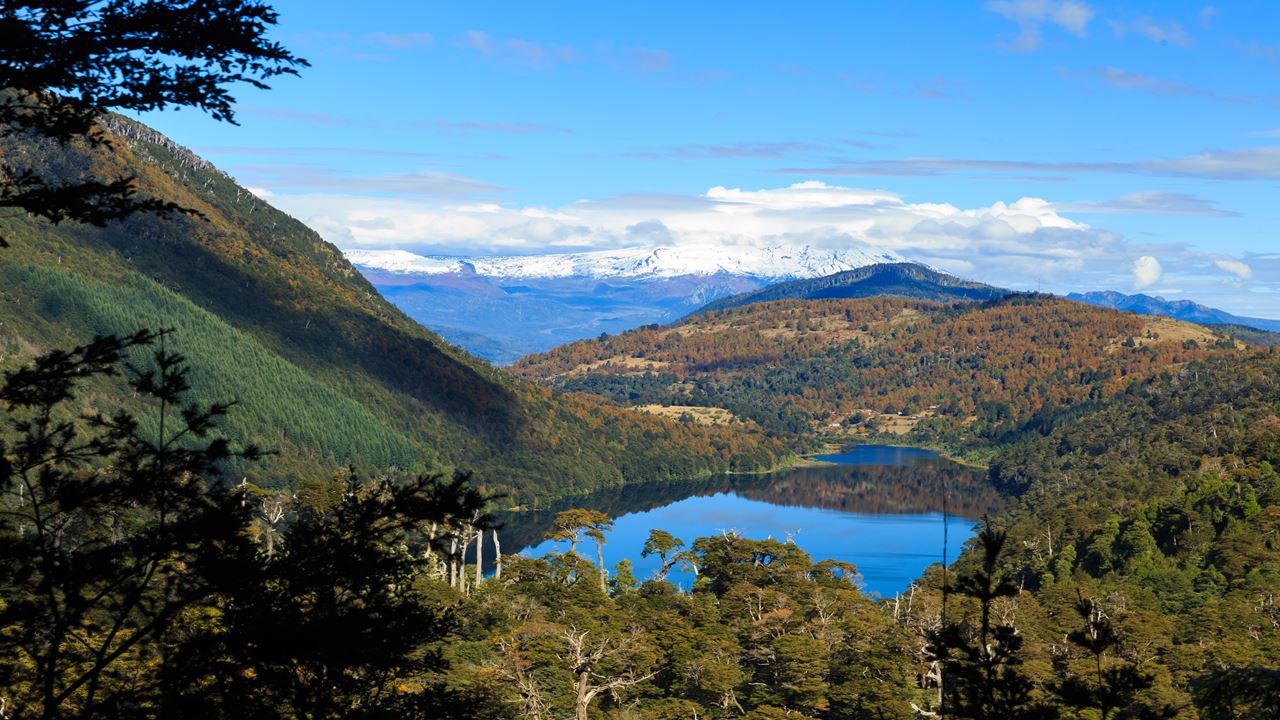 Trekking Huerquehue National Park foto 8