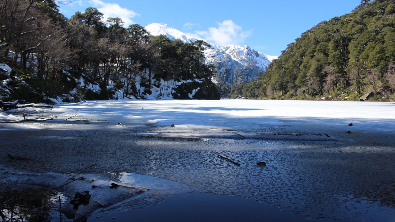 Trekking Huerquehue National Park foto 4