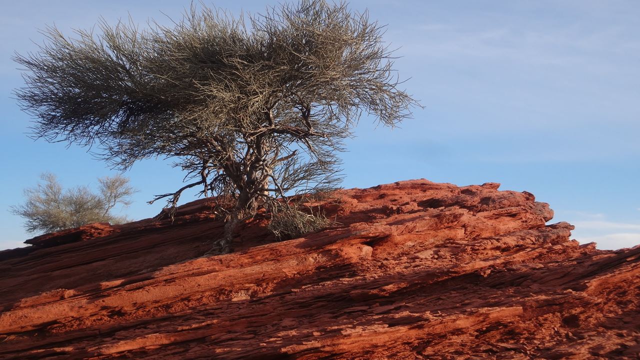 Rock Paintings Trekking In Villa Unión foto 4