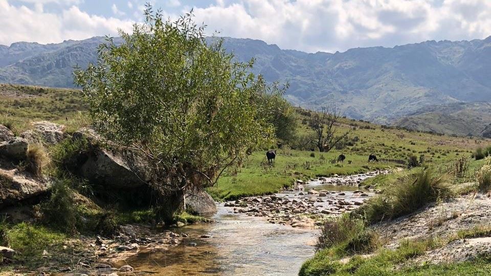 Trekking Through The Socavon Gorge foto 2