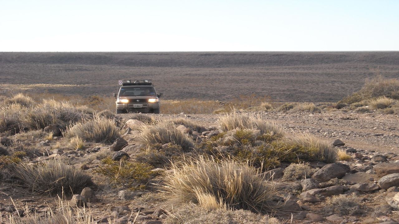 Valcheta E Floresta Petrificada foto 8