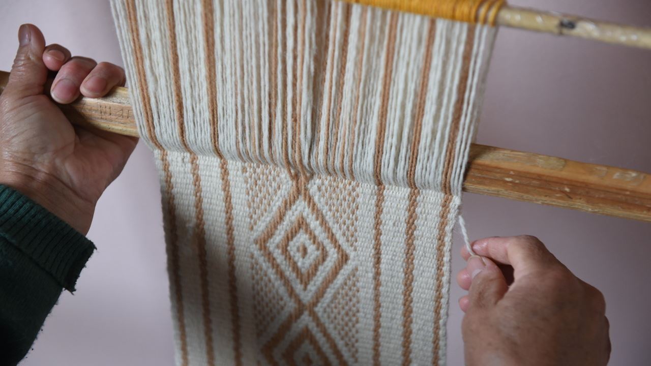 Valcheta E Floresta Petrificada foto 4