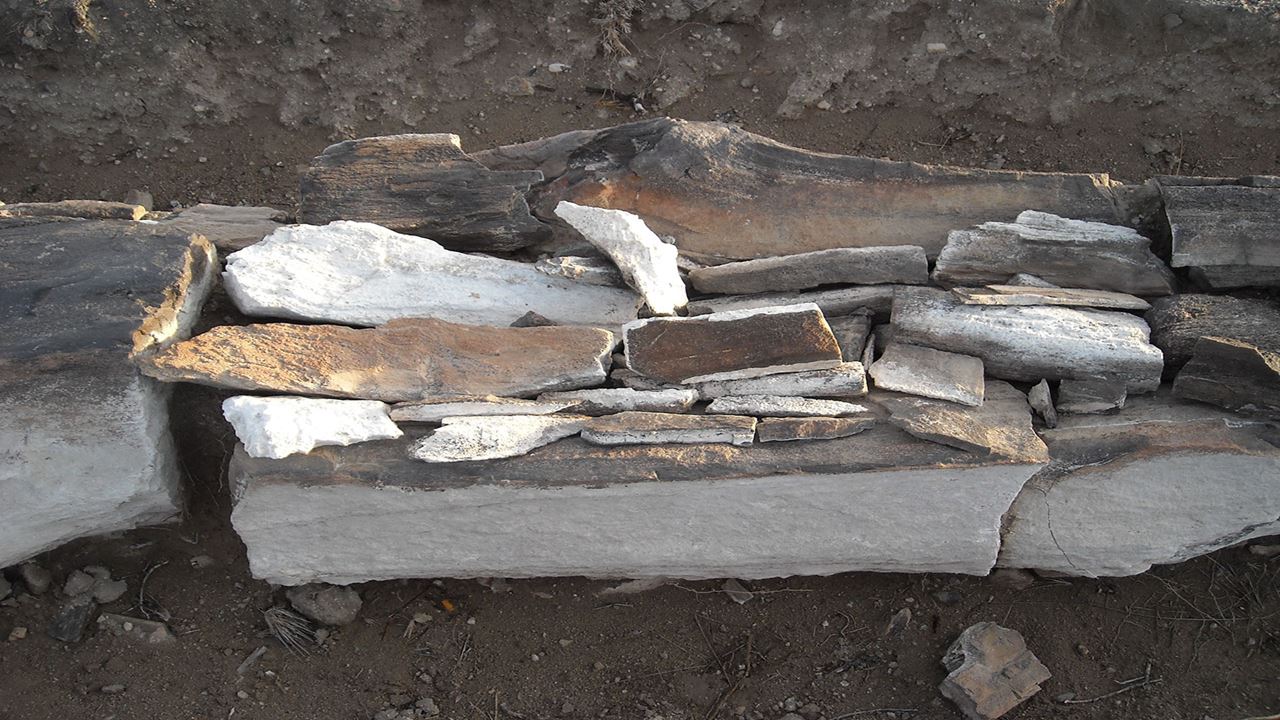 Valcheta E Floresta Petrificada foto 7