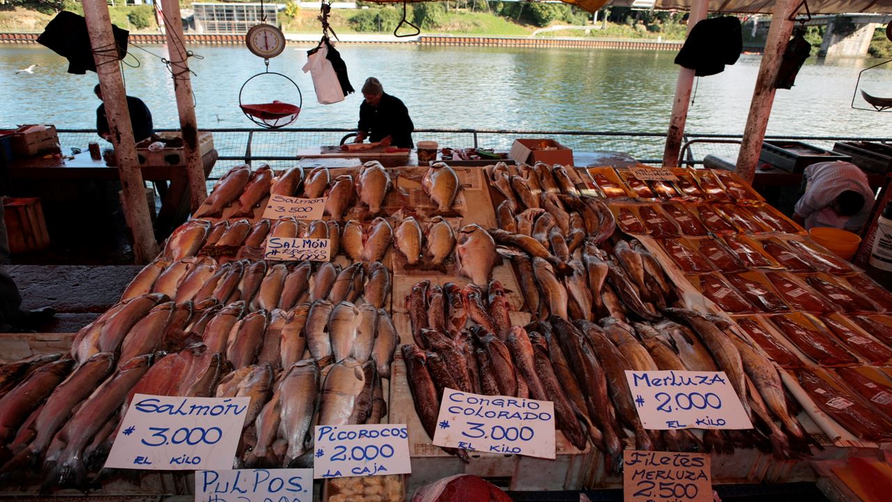 Valdivia Essential City City Tour
 foto 4