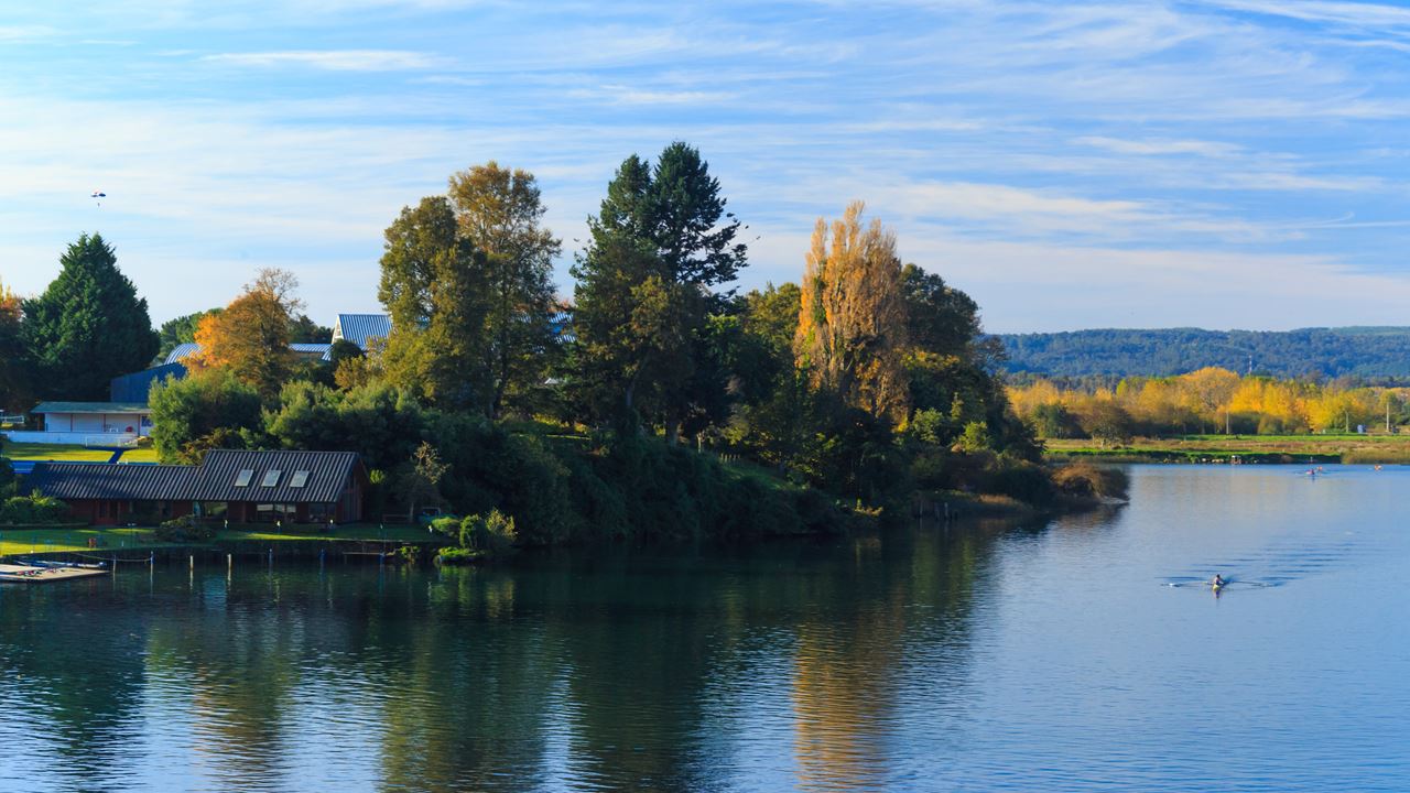 Valdivia Essential City City Tour
 foto 10