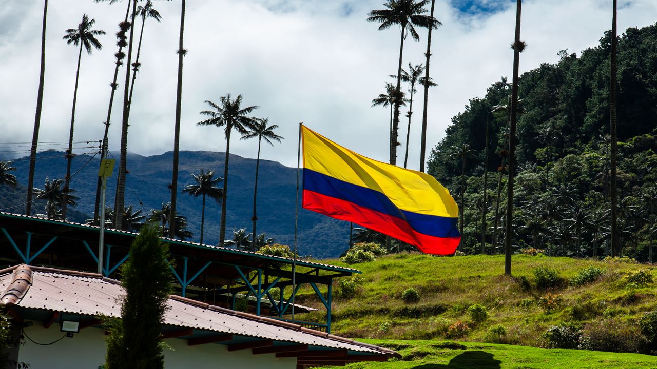 Cocora Valley Coffee: A Must-see Full Day In The Coffee Region foto 4