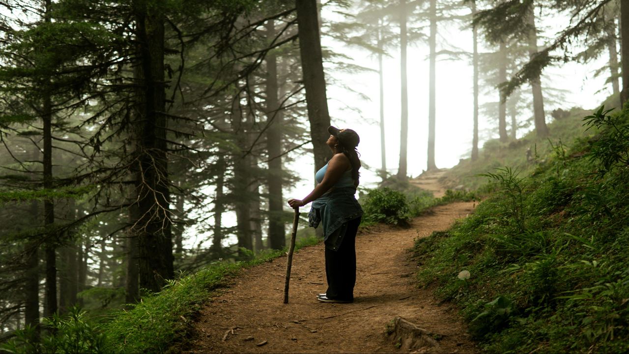 Cocora Valley Coffee: A Must-see Full Day In The Coffee Region foto 1