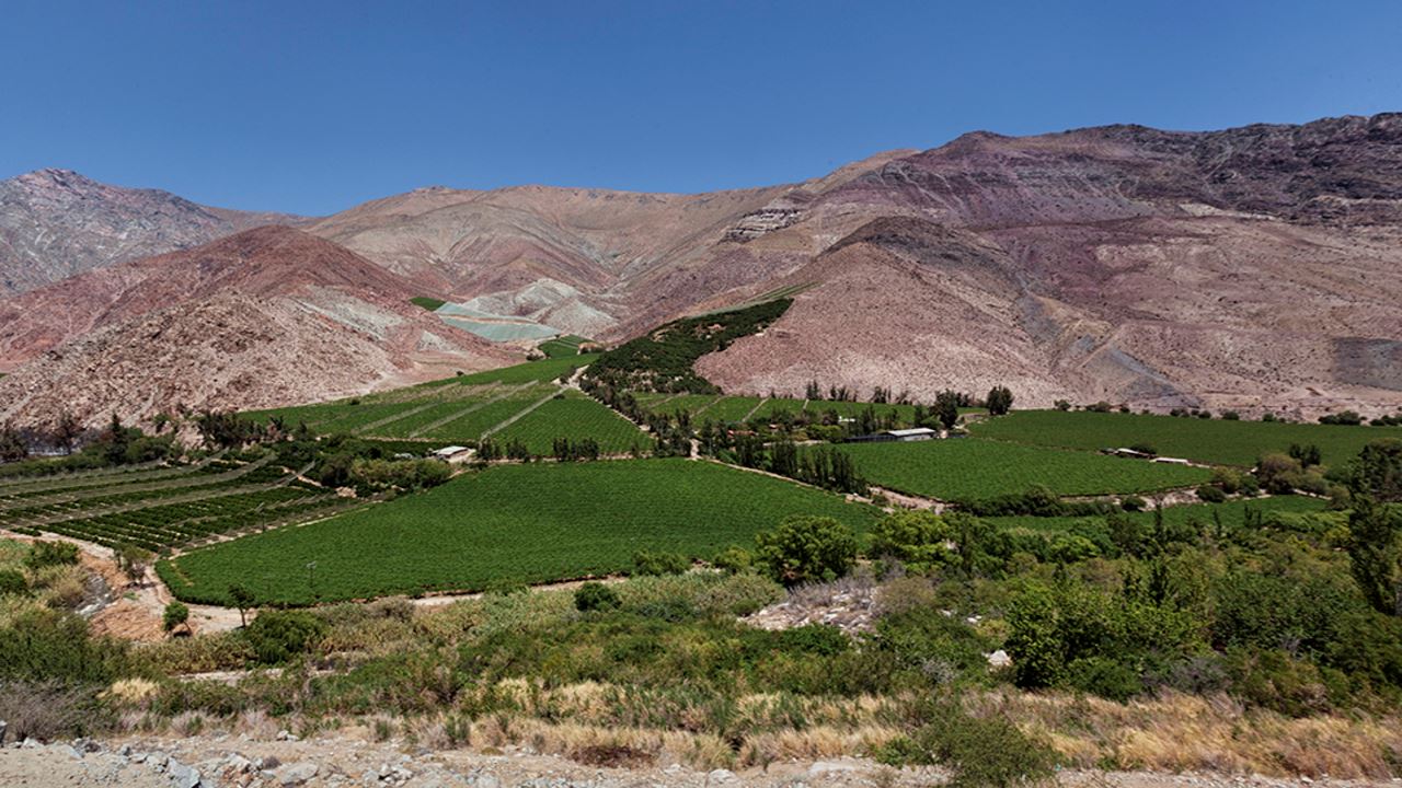 Vale Místico Do Elqui: Cultura, Natureza E Sabores Do Norte Chico foto 7