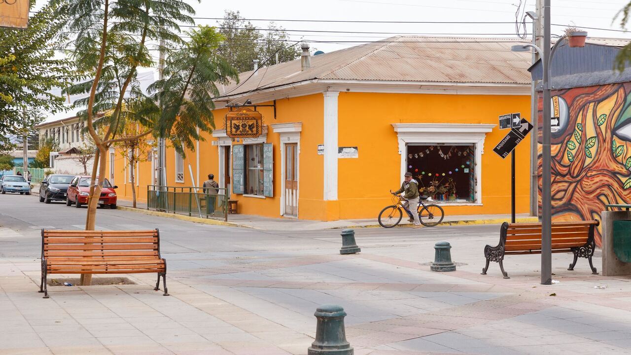 Vale Místico Do Elqui: Cultura, Natureza E Sabores Do Norte Chico foto 3