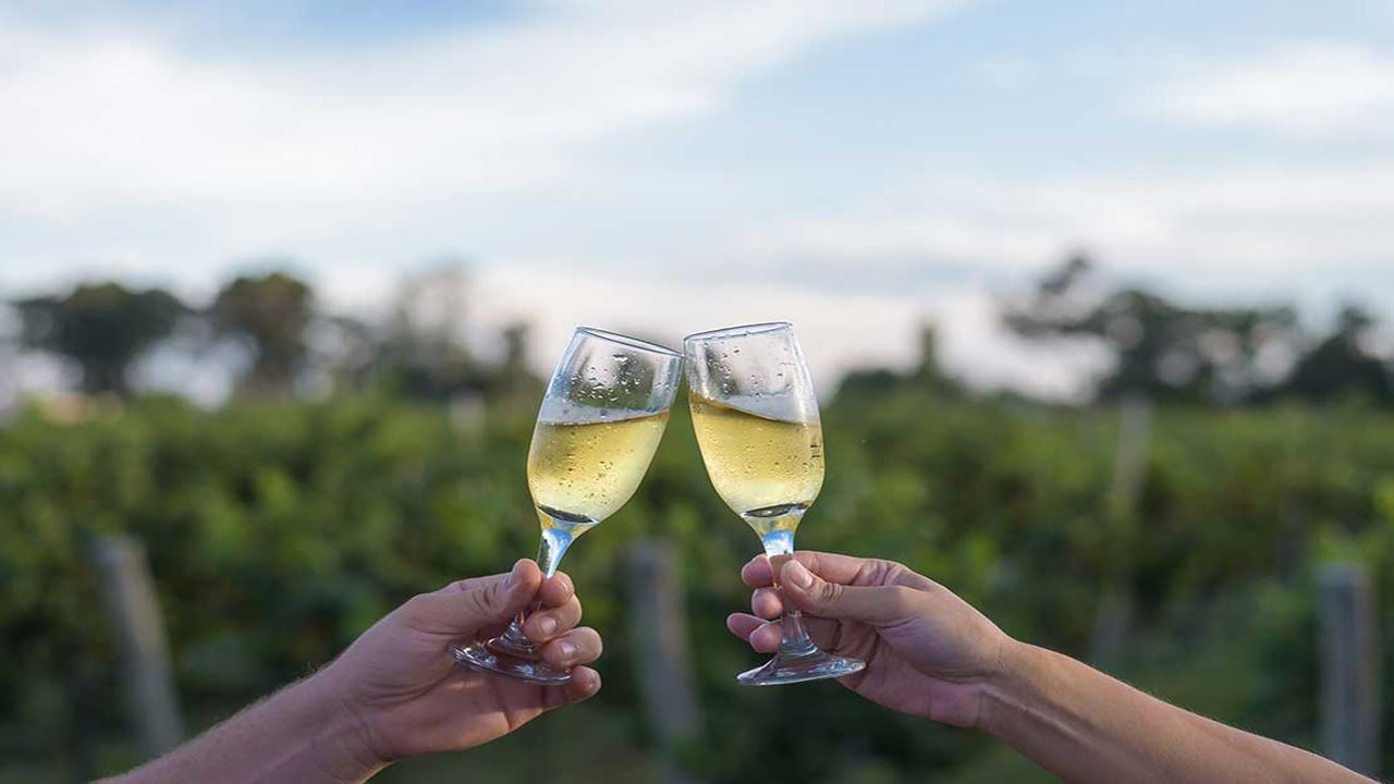 Vineyards And Wineries - Wine Route foto 9