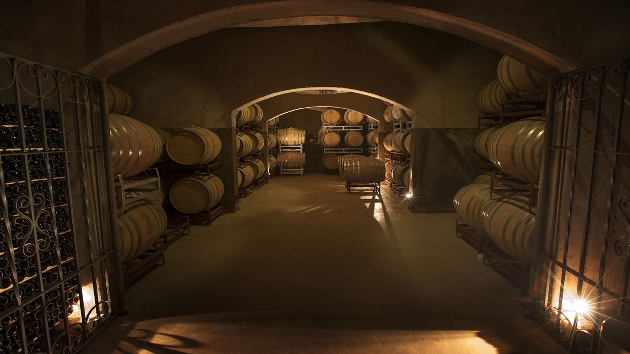 Visit To Clos De Chacras Winery With Wine Tasting foto 6