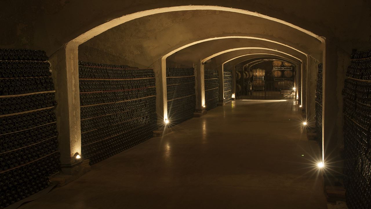 Visit To Clos De Chacras Winery With Wine Tasting foto 7