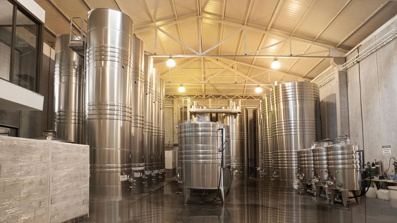 Visit To Cruzat Winery With Wine Tasting foto 7