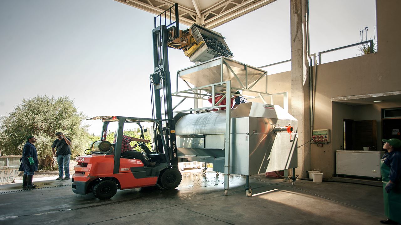 Visit To Cruzat Winery With Wine Tasting foto 5