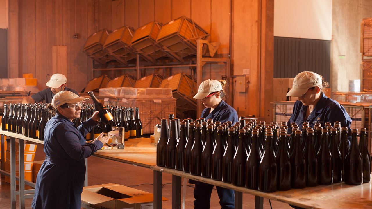 Visit To Cruzat Winery With Wine Tasting foto 2