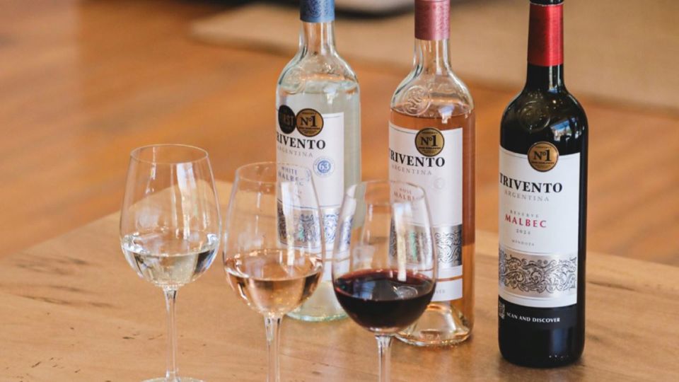 Visita A Bodegas Con Degustacion Y Almuerzo En Maipú foto 2