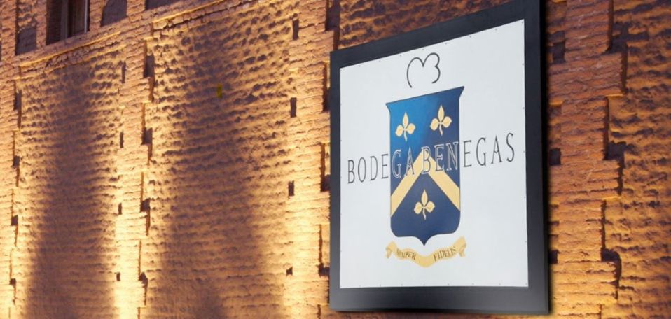 Visita A Bodegas Con Degustacion Y Almuerzo En Maipú foto 4