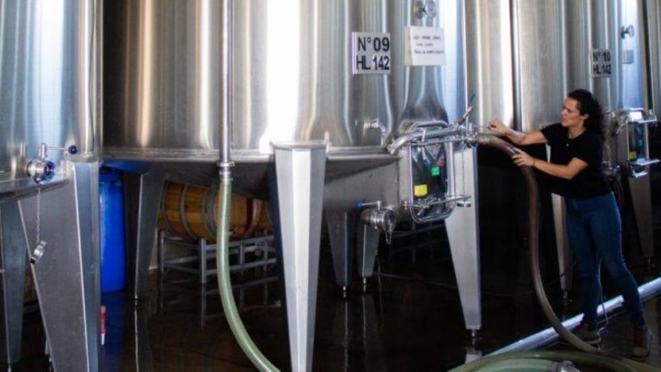 Visita A Bodegas Con Degustacion Y Almuerzo En Maipú foto 8