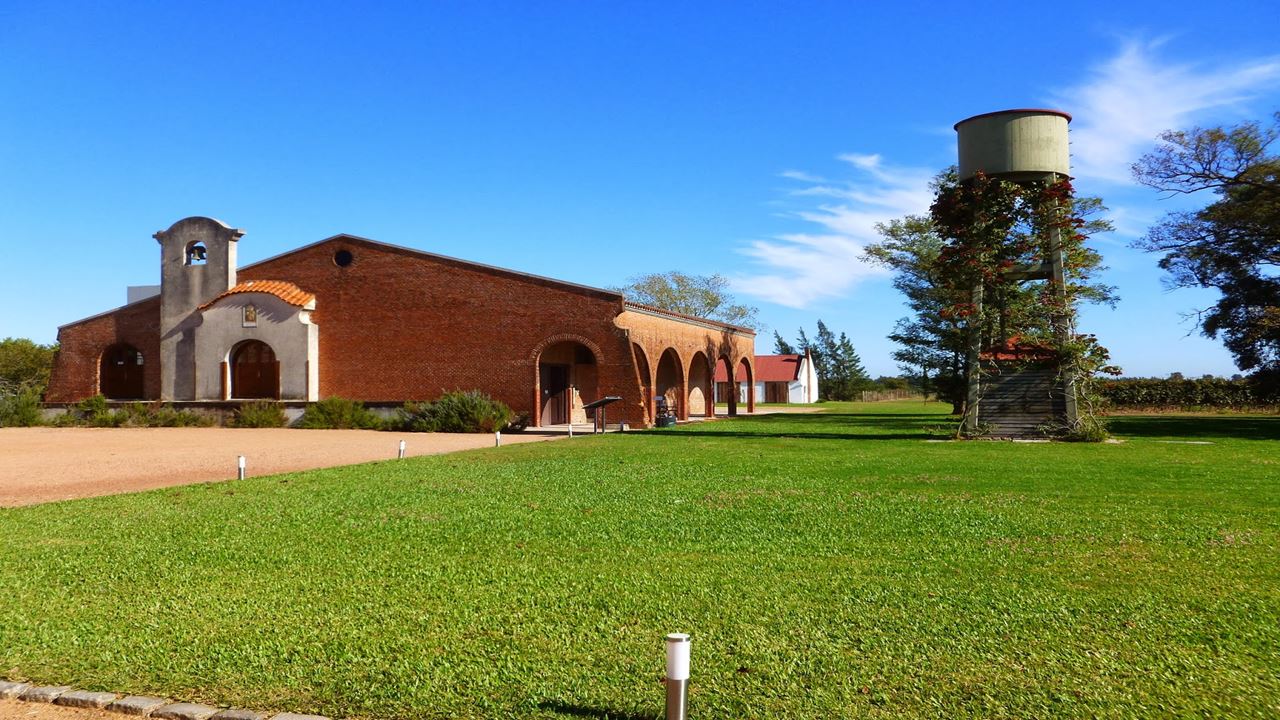 Visita A Bodegas & Degustacion Con Almuerzo (6)