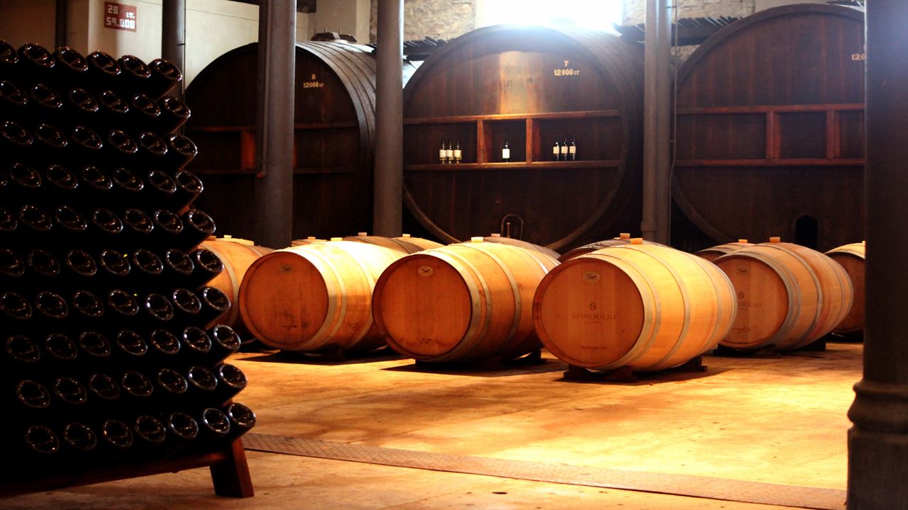 Visita A Bodegas & Degustacion Con Almuerzo (8)
