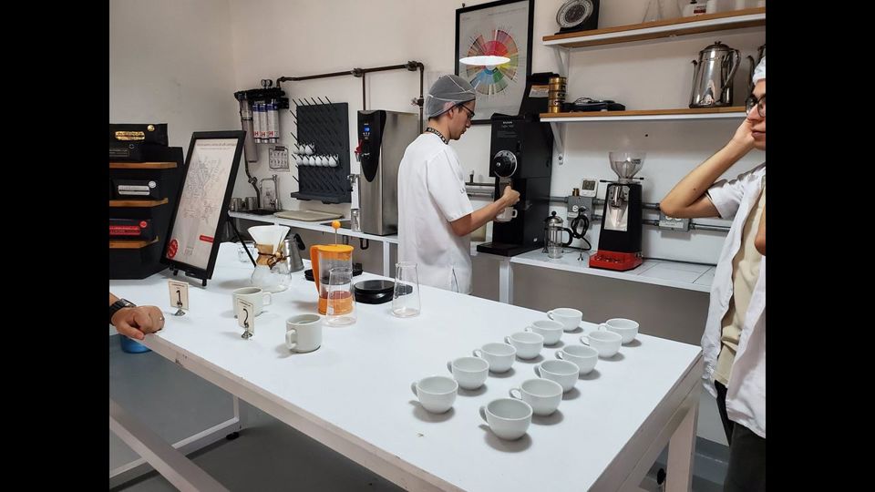 Visita A Finca De Café Orgánica Con Degustación Profesional foto 7