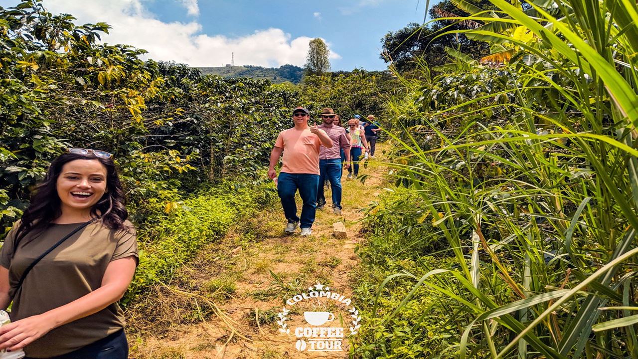 Visit To An Organic Coffee Farm With Professional Tasting foto 3