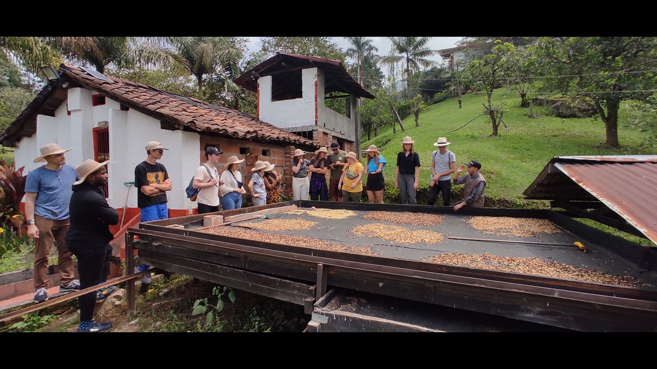 Visit To An Organic Coffee Farm With Professional Tasting foto 1