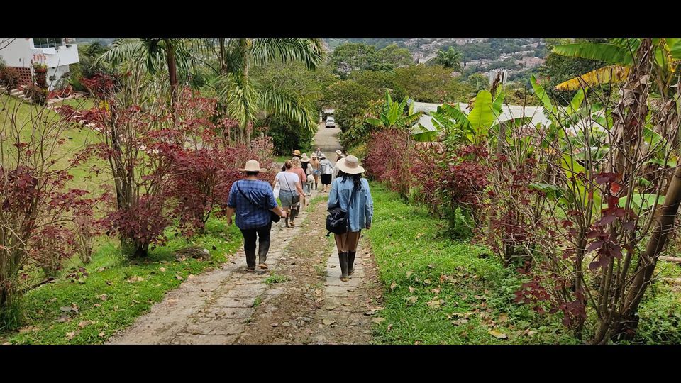 Visita A Finca De Café Orgánica Con Degustación Profesional foto 2