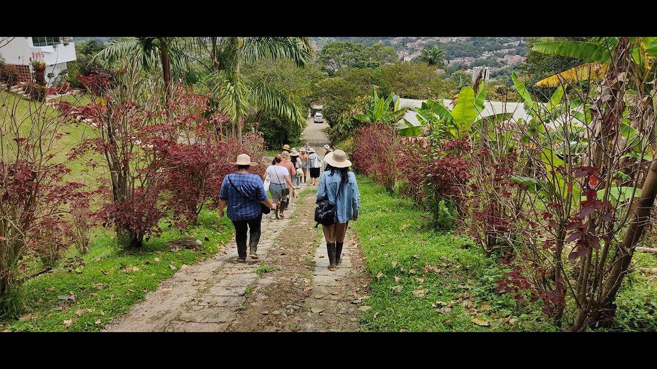 Visit To An Organic Coffee Farm With Professional Tasting foto 2