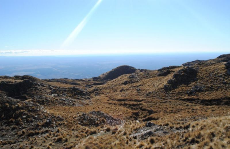 Visita A Merlo foto 7