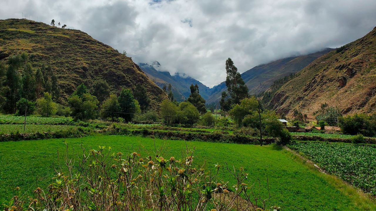 Visita Ao Canyon Colca foto 6