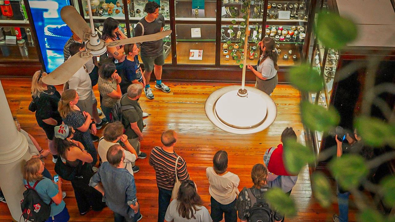 Visita Ao Museu Mate foto 6